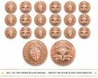 20x 1 oz .999 Copper Bullion Rounds Protect The Future Planes Tanks Design BU — photo 1