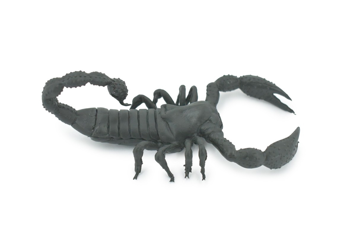 Scorpion, Black Rubber, Realistic, Figure, Model, Toy, Kids, Gift