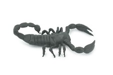 Scorpion, Black Rubber, Realistic, Figure, Model, Toy, Kids, Gift, 7" F1974 B210