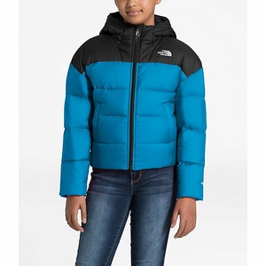 the north face ebay