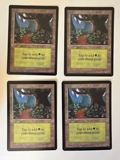 Magic the Gathering MTG Forest v.1 (Path) Beta NM- (Beta Bob)