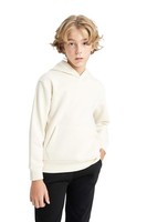 DeFacto Jungen Hoodie - Kapuzenpullover (Lt.Stone 8/9