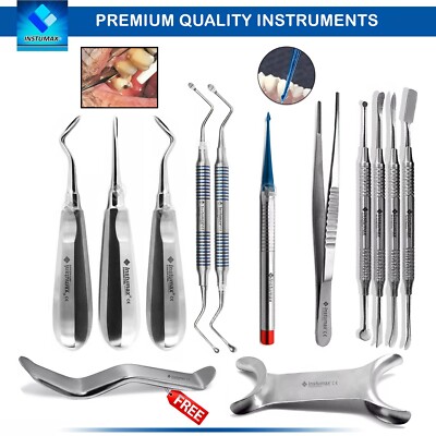13Pcs Dental Root Elevators Setup Oral Surgery Luxating Root PICKER Elevator