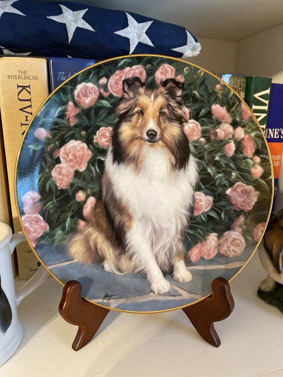 Danbury hotsell mint sheltie