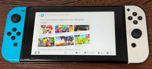 Nintendo Switch Handheld Console - Blue White - Great Used Condition - Works
