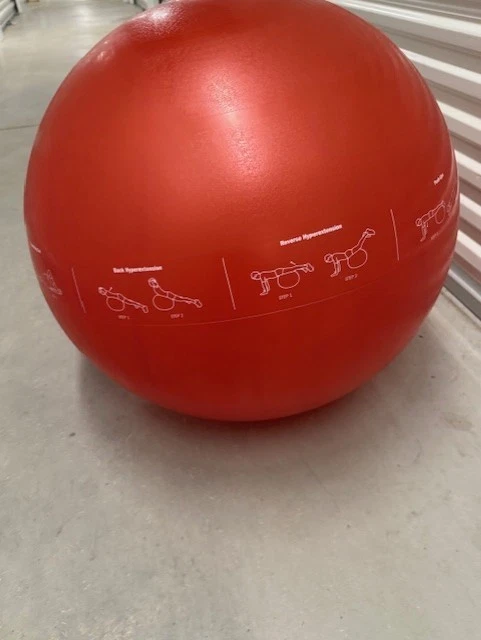 GoFit Pro Ball Stability Fitness Ball - Image 3 of 4