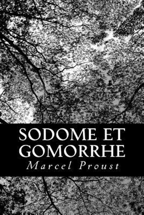 Sodome Et Gomorrhe by Marcel Proust Paperback Like New Free Shipping