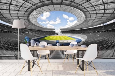 3D Stadium Landscape Wall Murals Wallpaper Murals Wall Sticker 3