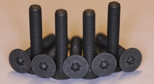 10 x Titan Schrauben / Titanium Grade 5 Screws DIN 7991 TORX T10 M4 x 19 - 第 1/1 張圖片