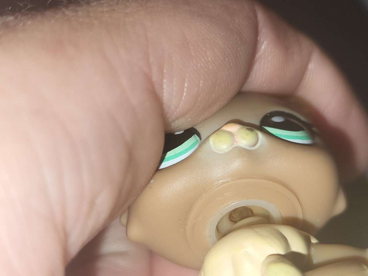 Figurine Littlest Pet Shop – Chat Persan #1063, Hasbro, Occasion