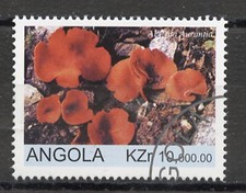 CHAMPIGNON - Angola 1999 n°(1) (o) - 10000k Aleuria aurantia