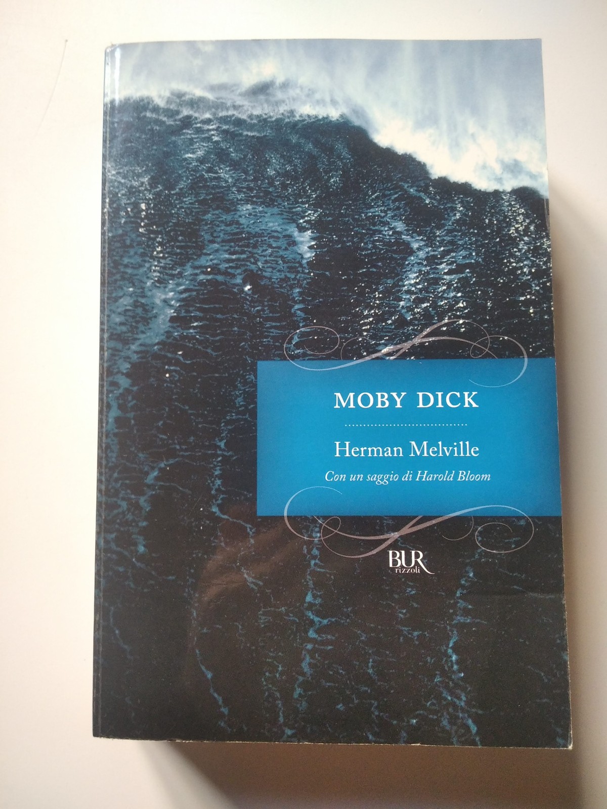 Moby Dick - Herman Melville