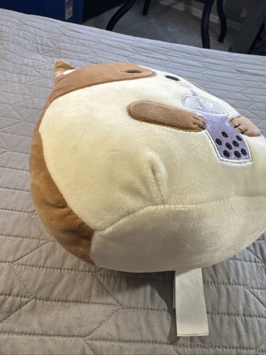 Peluche Squishmallow 8 pulgadas | Regina the Corgi con té Boba - Imagen 14 de 14