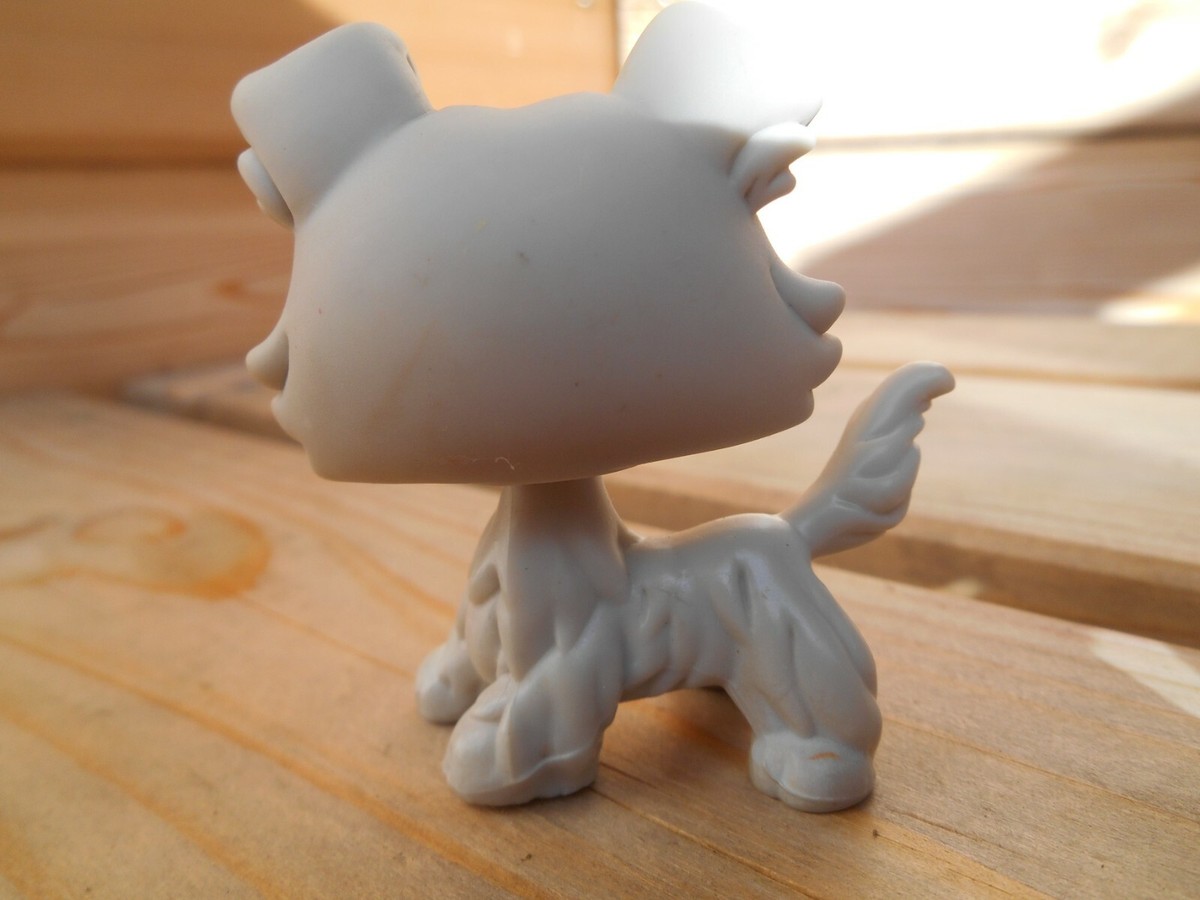 LPS Littlest Petshop Pet Shop Chien Chat Européen Dogue Colley Cat - Foto 3