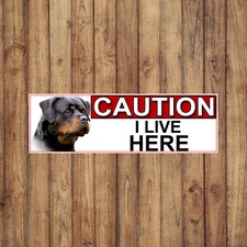 Rottweiler CAUTION I LIVE HERE METAL GATE SIGN 266mm x 87mm. (672H2)