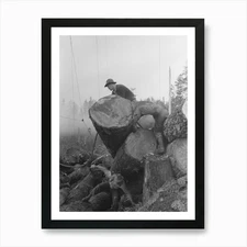 Untitled Photo, Possibly Related To Framed Wall Art Poster Canvas Print Picture