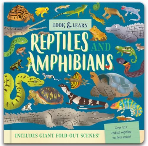 Look and Find Fold-Out Board Book by North Parade Publishing (HB 2024) - Image 7