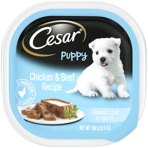 Cesar Classic Loaf in Sauce Puppy Wet Dog Food Chicken & Beef, 24Each/3.5 Oz, 24 - Picture 1 of 1