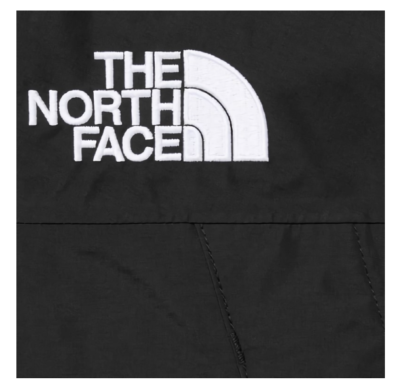 Supreme The North Face Mountain Jacket 2024 FW Week9 Blue Green