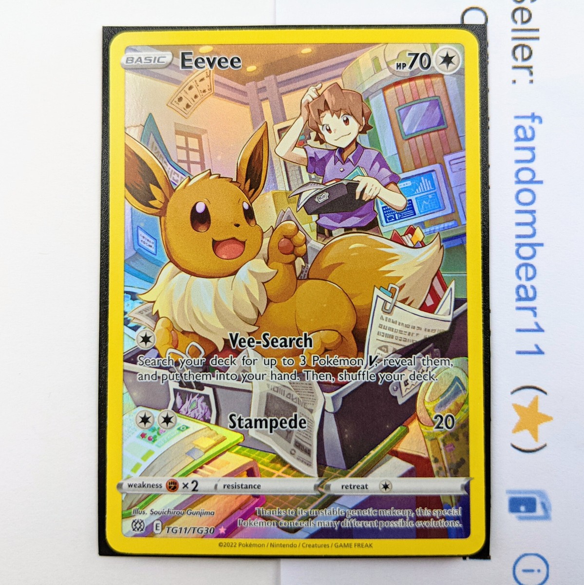 Eevee ULTRA RARE Trainers Gallery CHR TG11/TG30 Brilliant