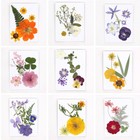 <!--F#f_0-->New Dried Flower Embossed Drop Glue Bookmark Handmade Material<!--F/-->