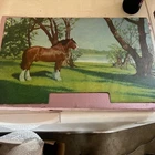(2) Vintage Budweiser Beer Lighted Sign Inserts. See Photos. Inserts Only.