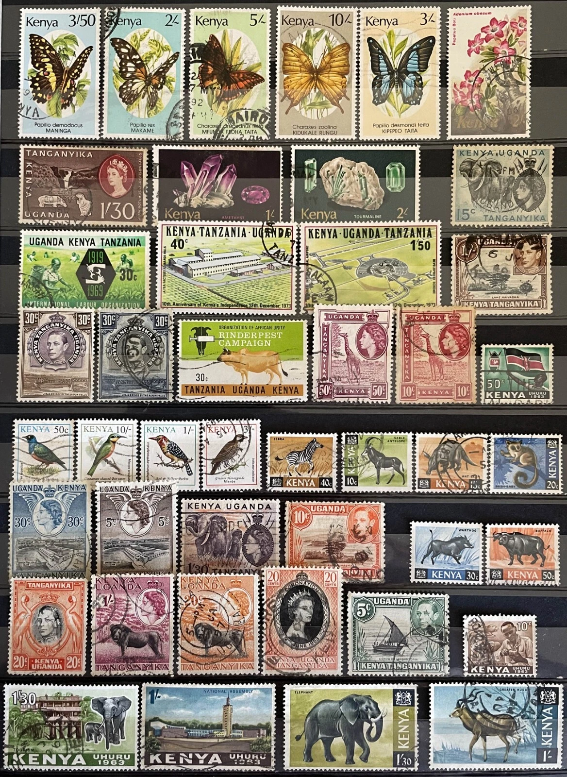Foto 1 di 2