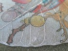Bild 9 von 11