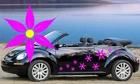 20 PINK PETAL DAISY, FLOWER CAR STICKERS, WALL GRAPHICS CRAFT FLOWER