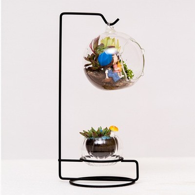  5pcs Micro-Landschaft Glas und Eisen hängenden Rahmen Hydroponik Pflanze Fisch