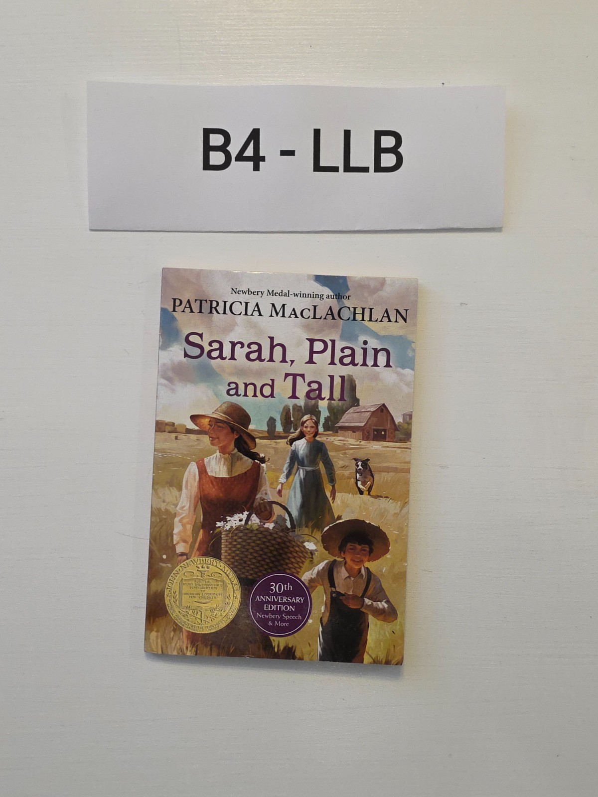 Sarah, Plain and Tall: 1 by Maclachlan, Patricia Book The Cheap Fast Free Post