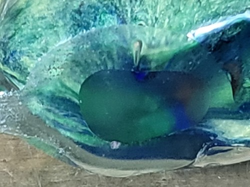Pisapapeles estilo Murano ángel pez arte vintage decoración verde azul rojo - Imagen 8 de 8