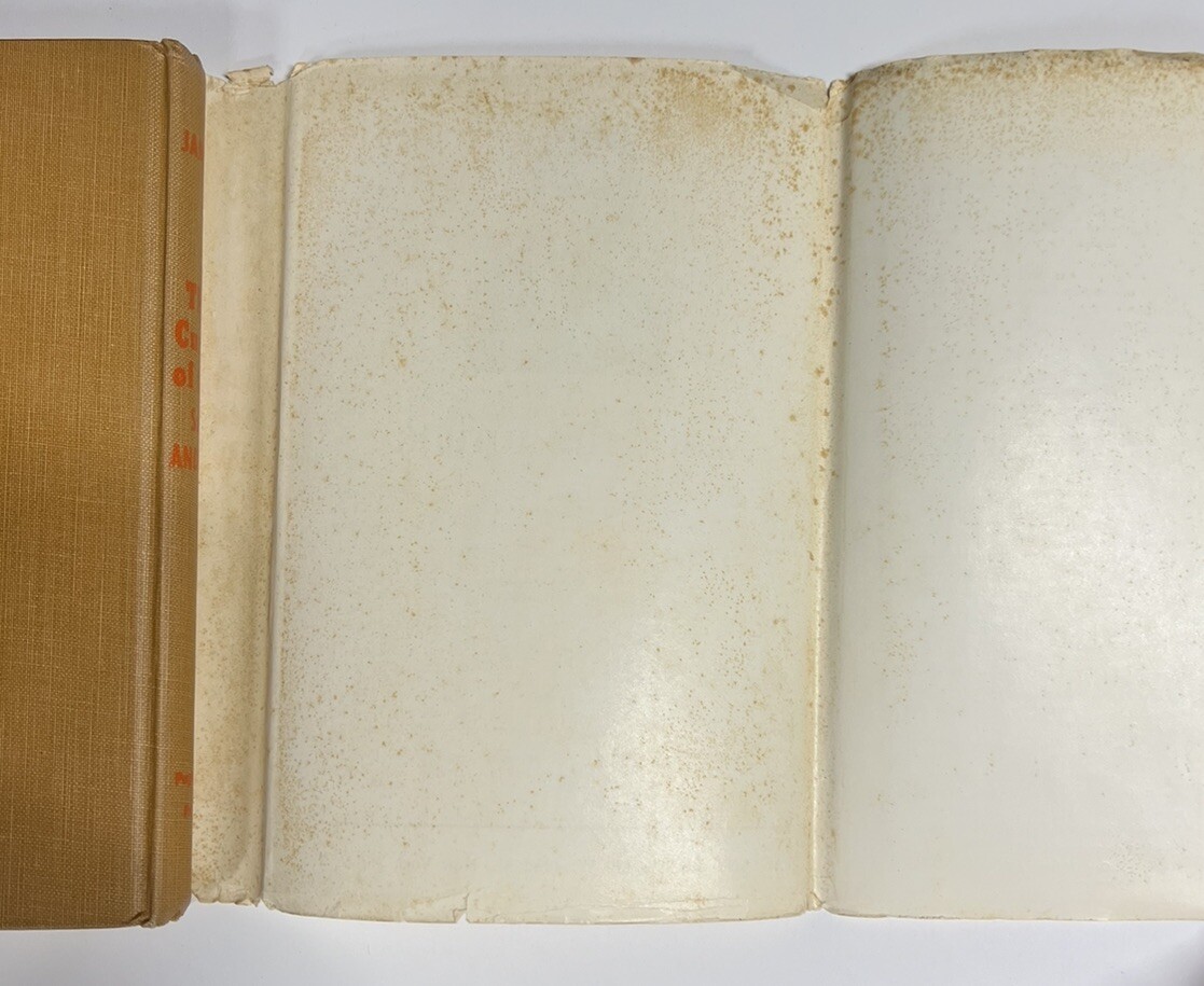Picture 8 of 8