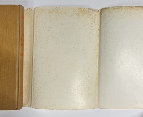 1953 Curse of the San Andres Signed First Edition Hardcover Book by Henry James - Picture 8 of 8