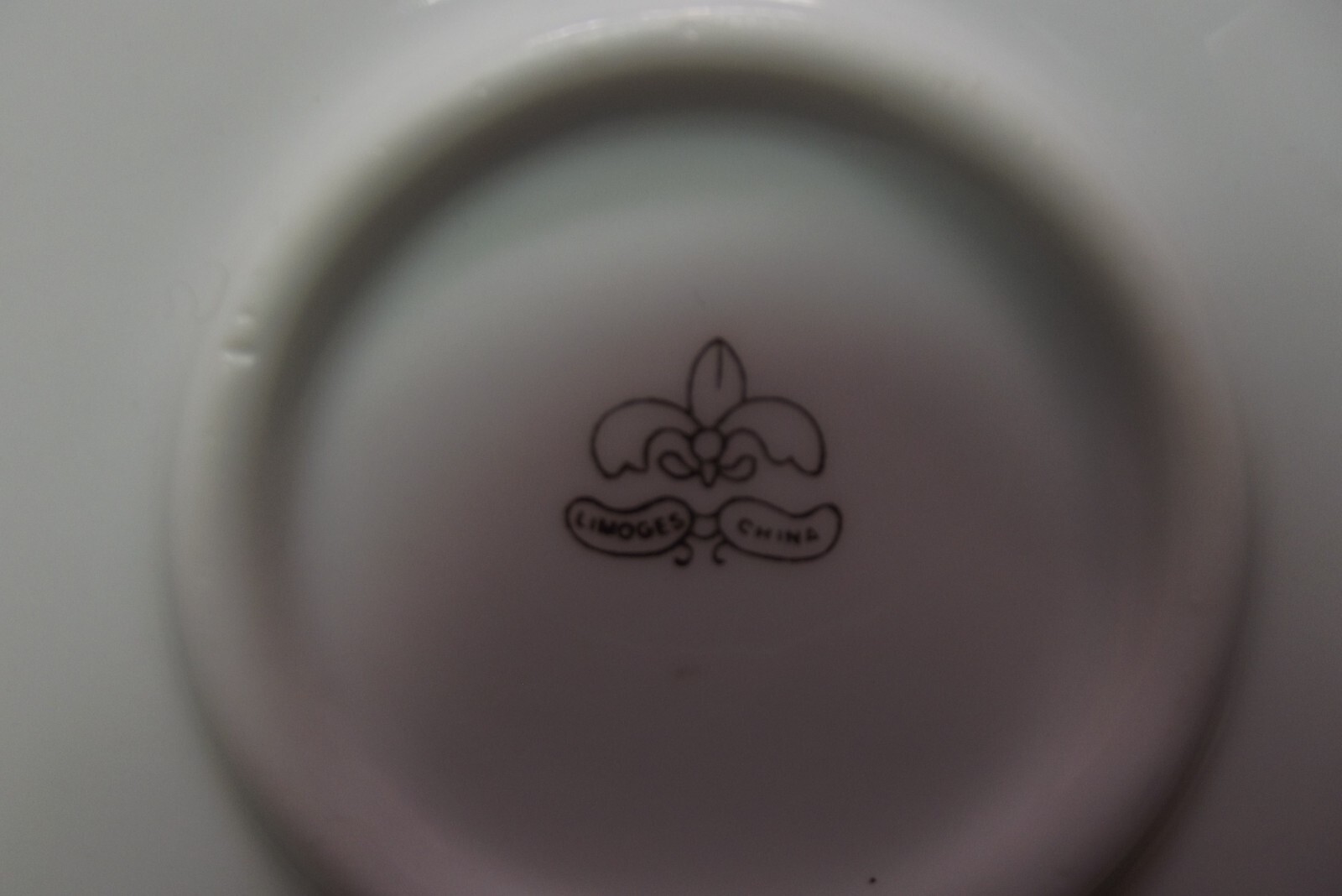 Picture 6 of 6