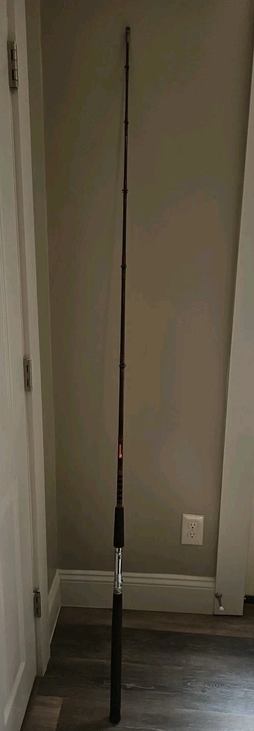 ABU Garcia SB66M 6'6" Medium Action 1 Piece FishingPole/Rod
Opens in a new window or tab