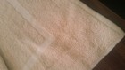 Bild 5 von 8