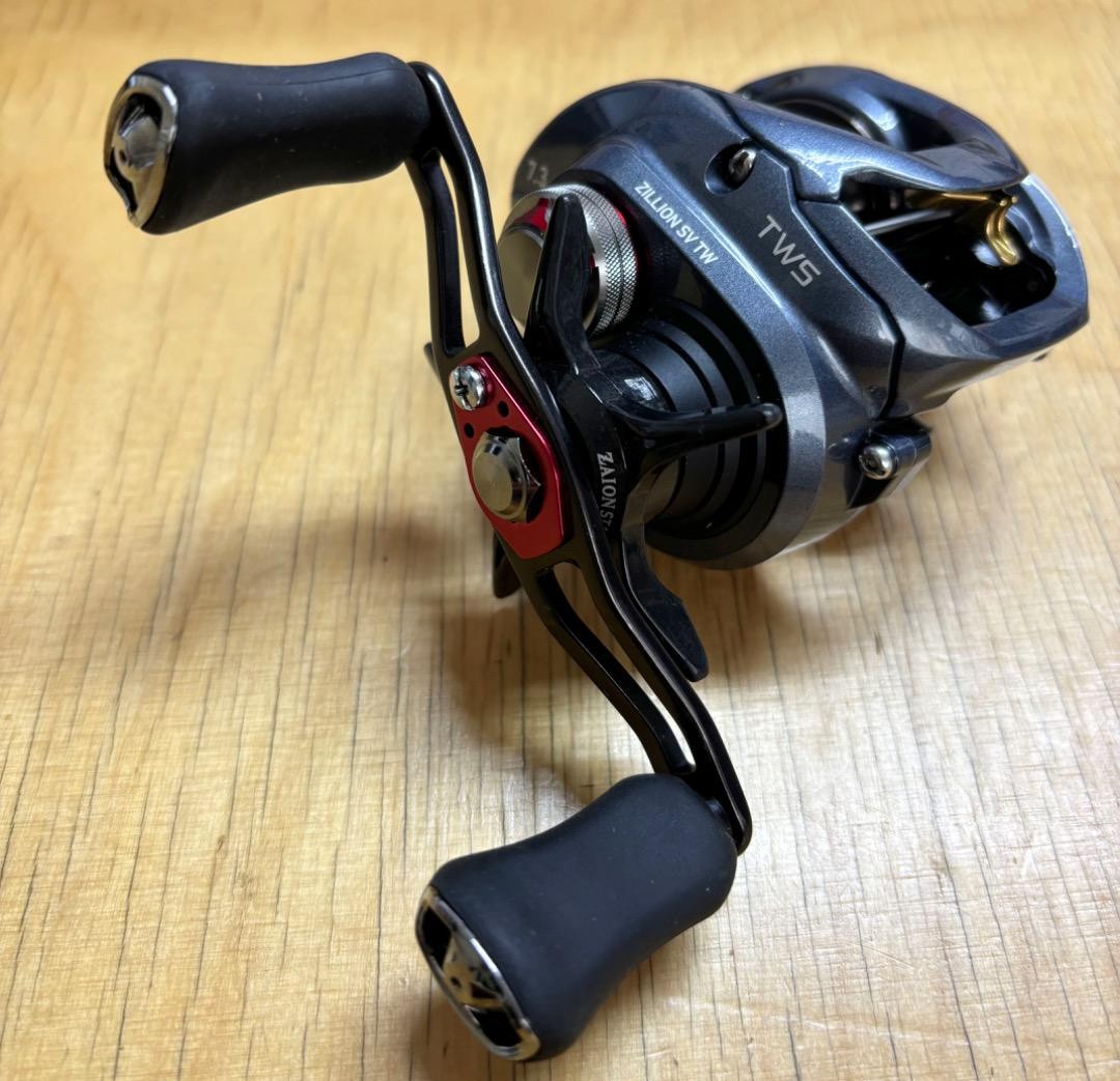 DAIWA Zillion SV TW 1016SV-SH 246852 | eBay