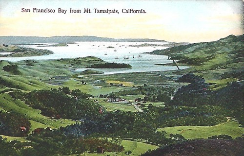 Antique San Francisco Bay From Mt. Tamalpais CA Unpostcard Posted 1908