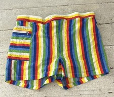 Vintage 1960s Men s Rainbow Stripe Short Shorts