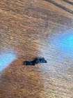 compatible with Lego Star Wars EE-3 Carbine Rifles (Boba Fett Rifle).