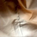 Bild 8 von 8