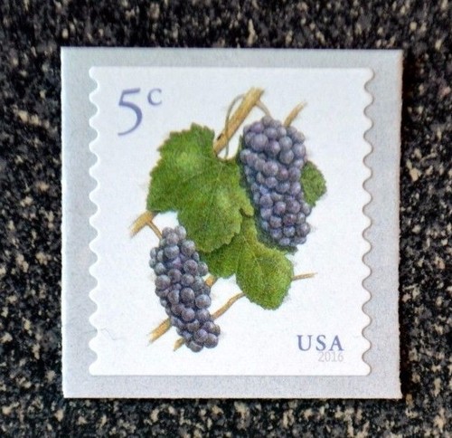 2016USA #5038 5c Grapes - Coil Single Mint NH grape - 第 1/1 張圖片