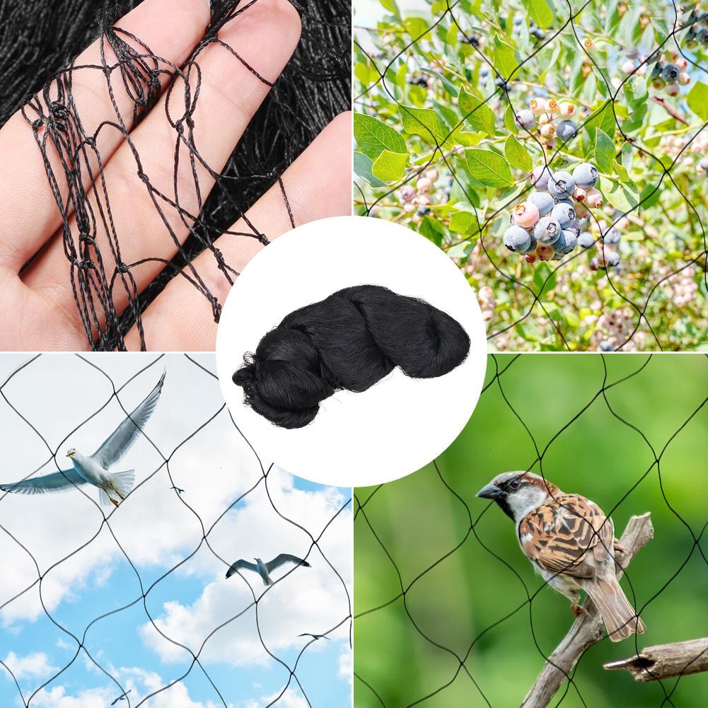 Vogel robuste sehr stark viele