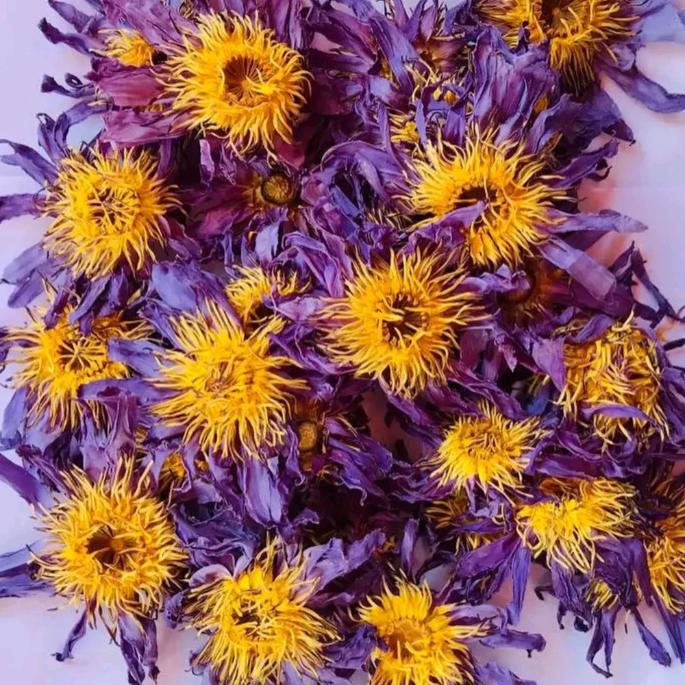 Dried Blue lotus (Nymphaea Caerulea) Herbal Tea/ Smoke Whole Flower Organic Pure