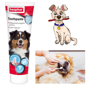 dog toothpaste enzymatic