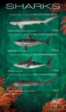Micronesia 2011 - Sharks Stamp -  Sheet of 4 - MNH