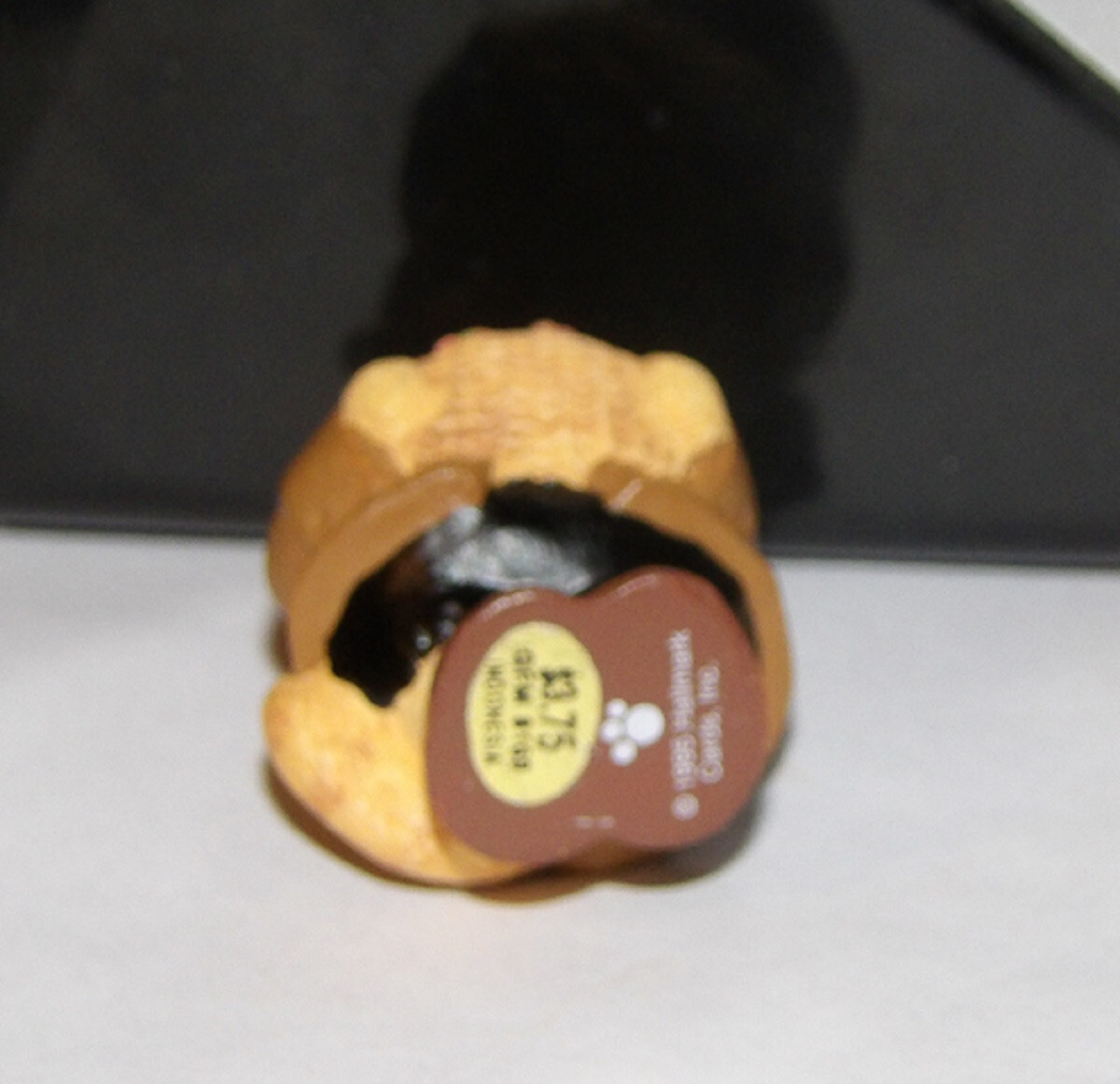 Picture 5 of 5