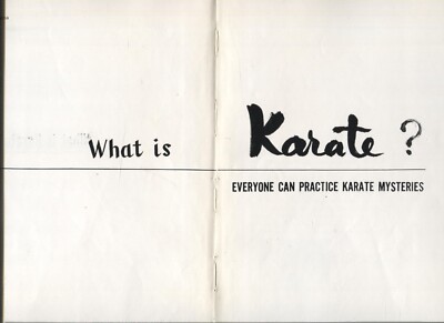 語学・辞書・学習参考書 What is Karate? 語学・辞書・学習参考書 What is Karate? What is Karate? by