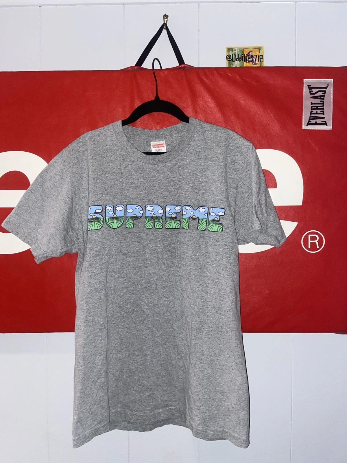 T shirt gris Supreme SS16 The Sh*t légèrement utilisé rare taille M bruyère vintage